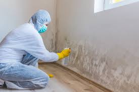  Mustang, OK Mold Prevention & Removal Pros