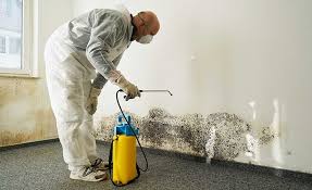 Best Industrial Mold Remediation  in Mustang, OK