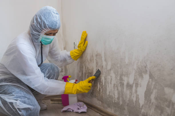 Best Mold Prevention Services  in Mustang, OK