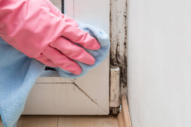 Mold Remediation for Vacation Homes in Mustang, OK