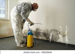 Best Mold Odor Removal Services  in Mustang, OK